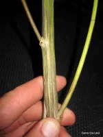 IMG_0358.webp IMG_0358.webp