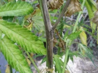 IMG_0400.webp IMG_0400.webp