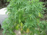 IMG_0401.webp IMG_0401.webp