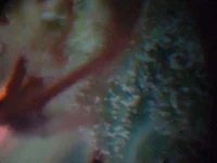 04.webp 04.webp