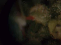 05.webp 05.webp