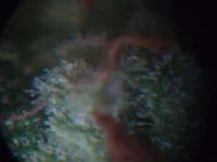 06.webp 06.webp