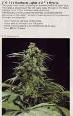 7507SB88-2.webp