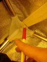 DSC06039 800x600.webp