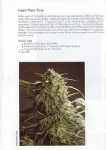 TSB1990page91.webp