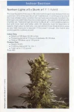TSB1990page21.webp