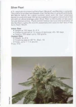 TSB1990page51.webp
