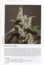 TSB1990page61.webp