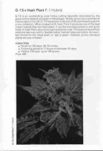 TSB1990page71.webp