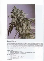TSB1990page111.webp