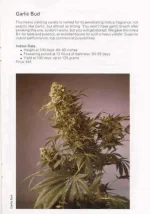 TSB1990page121.webp