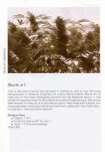 TSB1990page191.webp
