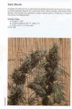 TSB1990page201.webp