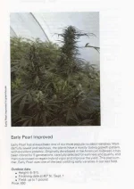 TSB1990page211.webp