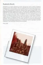 TSB1990page231.webp