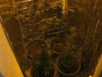 IMG_1779.webp IMG_1779.webp