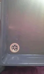 IMAG1339.webp IMAG1339.webp