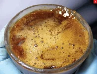 071013concentrates_16.webp 071013concentrates_16.webp