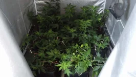 DSCF2347.webp