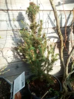IMG_20190213_113221.webp