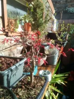 IMG_20190307_105815.webp