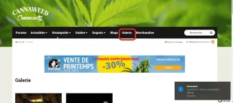 1.webp