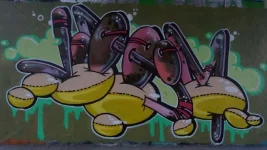 DSC02970.webp