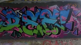 DSC02979.webp