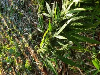 20190313_175526.webp