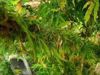 20190315_170605.webp
