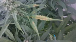 002.webp 002.webp