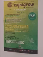 20190426_191550 (Large).webp
