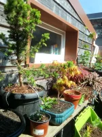 IMG_20190419_132627.webp