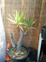 IMG_20190419_132705.webp