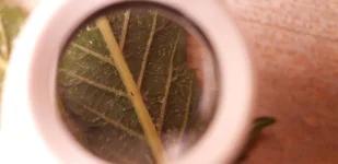 20190718_180309.webp 20190718_180309.webp
