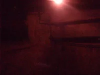 imag0457.webp