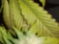 DSCF0058.webp
