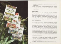 005.webp