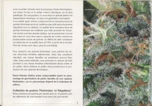 008.webp