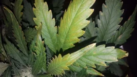 20190720_235640.webp 20190720_235640.webp
