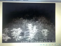 29AA5BDB-FDE1-4D80-AB0E-ABD4234FE309.webp