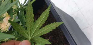 20190702_093346.webp