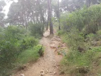 20190620_173750.webp