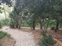 20190620_174900.webp