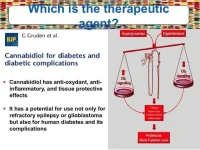 Diapositive13 - copie.webp