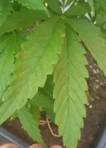 20190725_164832.webp 20190725_164832.webp