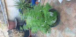 20190805_173647.webp