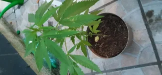 20190706_221025.webp