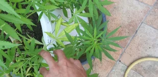 20190805_173714.webp
