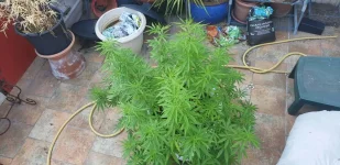 20190805_173752.webp